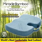 Miracle Bamboo Cushion